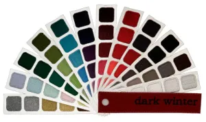 Dark Winter Color Swatch Book