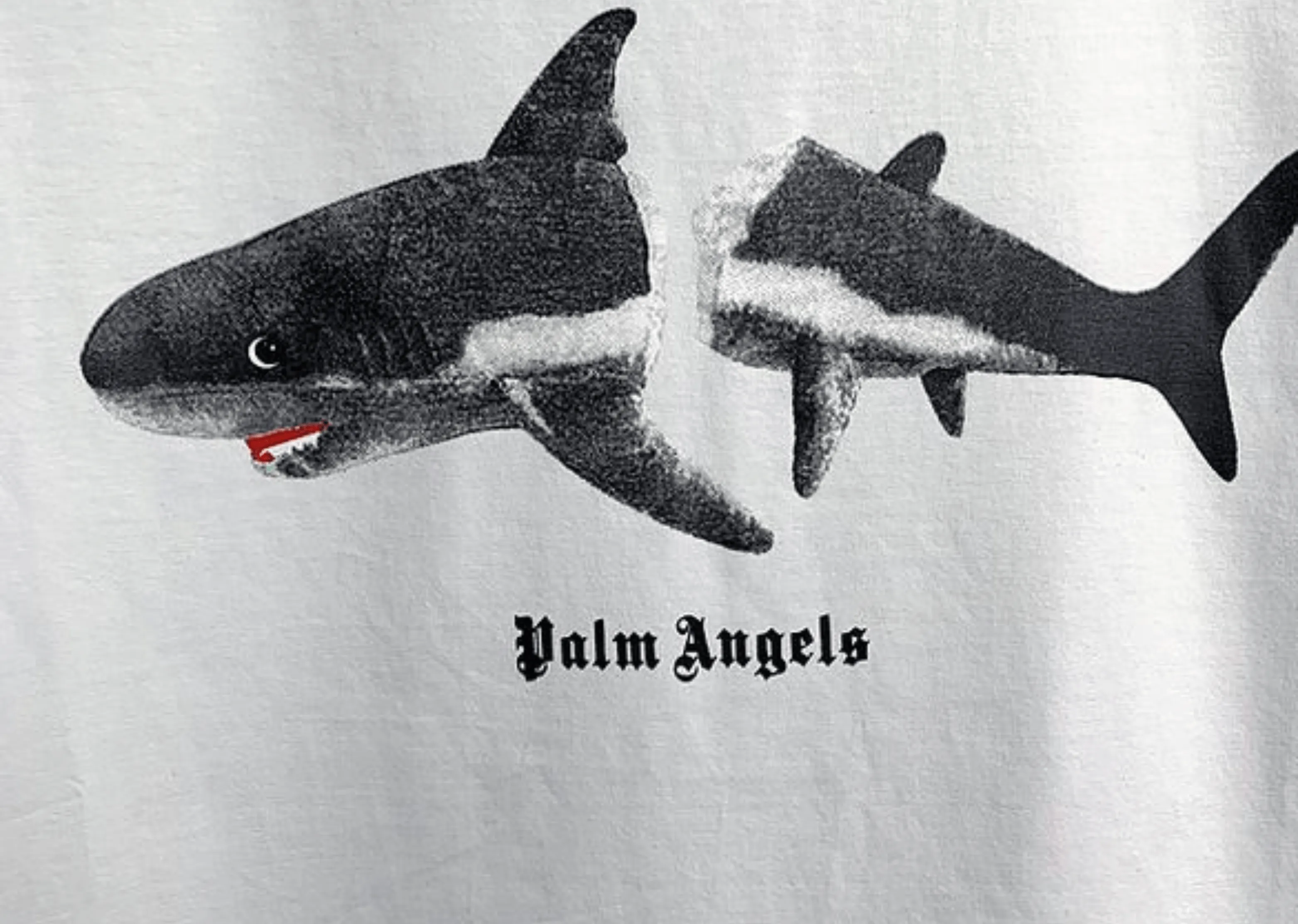 Palm Angels - Printed Logo 'Shark' White T-Shirt