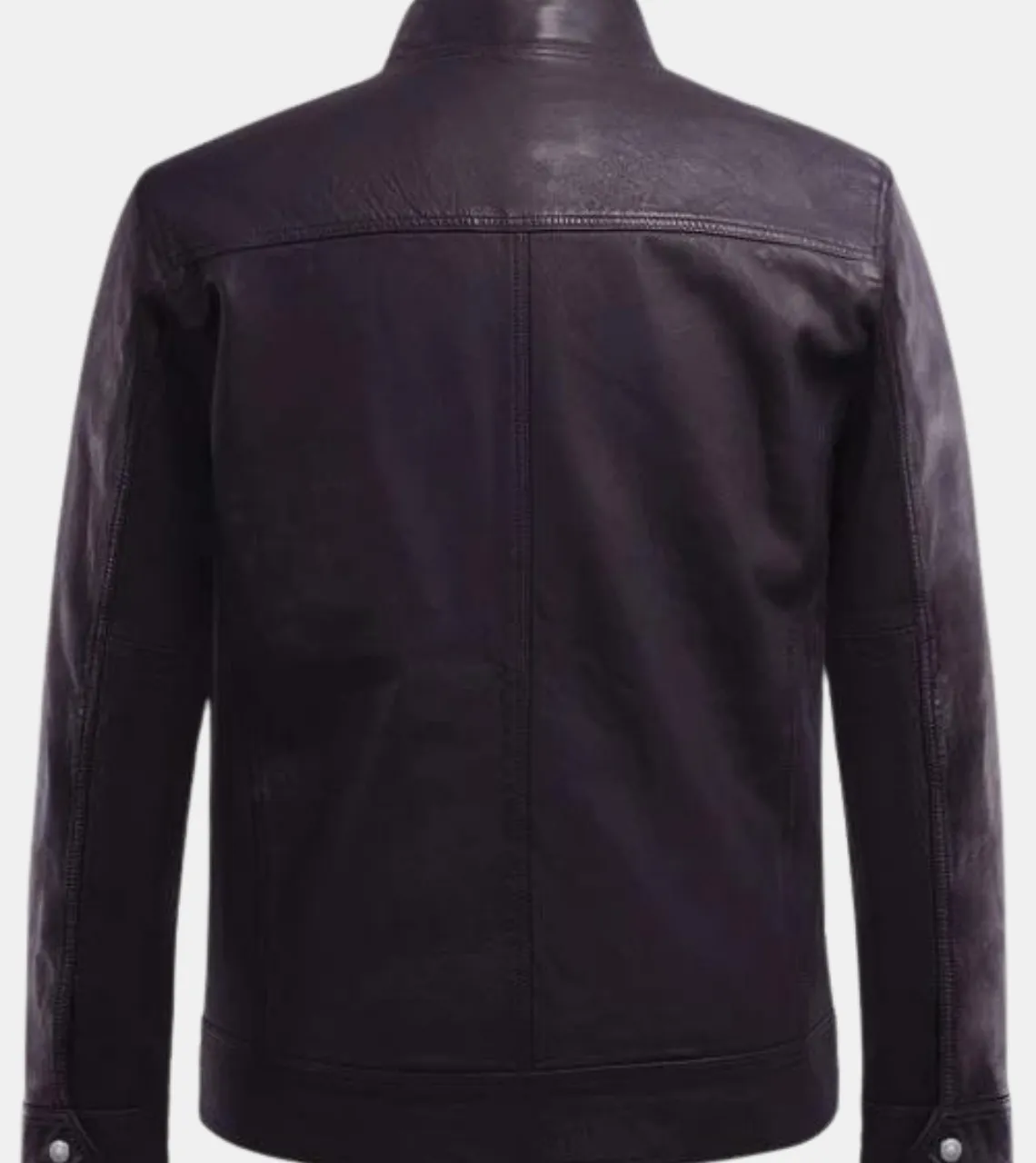 Riccardo Men's Violet Leather Jacket